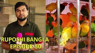 পাখির খামার আফতাব নগর | রূপসী বাংলা | Ruposhi Bangla | Episode-50