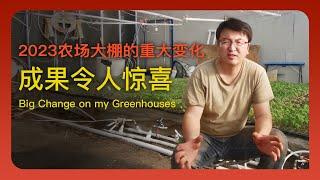 Big Change on my Greenhouses in 2023 | Wonderful Surprise