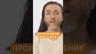 ПРОИСХОЖДЕНИЕ ДУШИ И ДУХА. #shorts #ДУХ #душа