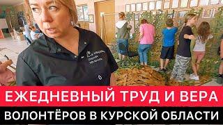 КАК СЕГОДНЯ ТРУДЯТСЯ ВОЛОНТЁРЫ В КУРСКОЙ ОБЛАСТИ.