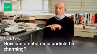 Electron Positron Annihilation - Frank Taylor