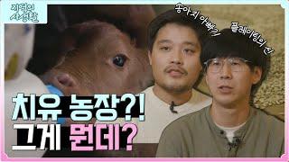 [지역의 사생활] 체험농장? 치유농장! ️  청년 농부들의 '치유 농업' | KBS 221111