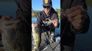 FINESSE Alabama Rig in the Winter