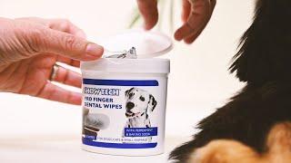 Dental Hygiene Finger Wipes: Keep Your Dog's Teeth Clean and Healthy!