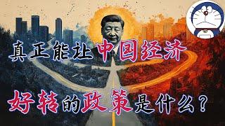 方脸说：真正能让中国经济，好转的政策是什么？解读中国经济的三种可能的政策方向！重回胡温时期丨刺激消费丨电动车丨新质生产力