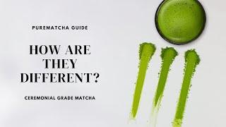 Purematcha Ceremonial Grade Matcha Teas - What's The Difference?