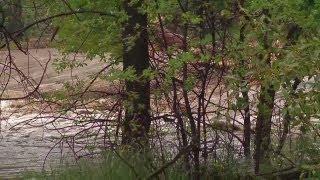 Lyons flooding - look at St Vrain, moving at 9x normal rate