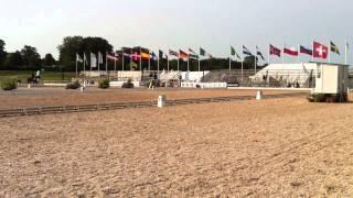 Lelly Malmö City Horse Show 2015-08-15