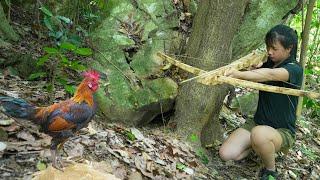 Making Wooden Crossbow - Hunting Wild Chicken/ 1 Month Solo Bushcraft & Survival, Part 3