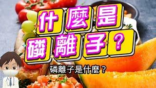 【慢性腎臟病】磷離子是什麼？食物中都含有磷？該如何吃呢？