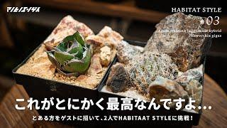 もうね…これが最高なんですよ。とあるゲストを招いてHABITAT STYLEに挑戦！｜植え替え｜アガベ｜チタノタ｜ハオルチア｜ハビタットスタイル