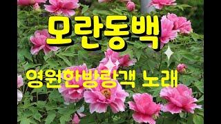 모란동백  /  조영남 작곡 / 이제하 작사 /   영원한방랑객 노래