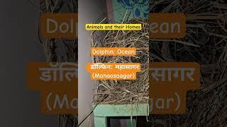 Animals and their Homes Part 4
