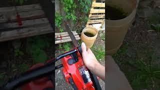 Homelite XL2 Chainsaw - Little red