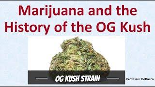 Marijuana and the History of the OG Kush