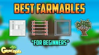 BEST Farmables For Beginners & How To Profit - Growtopia