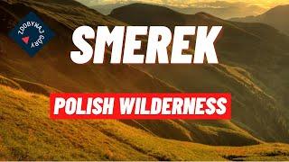 A solo hike in the Polish wilderness - Smerek Bieszczady Mountains