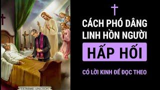 Cách Đọc Kinh Nguyện Phó Linh Hồn Cho Người Hấp Hối (Có lời kinh để đọc theo)