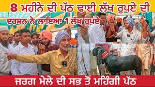 ਜਰਗ ਮੇਲੇ ਦੀ  ਮਹਿਗੀ ਪੱਠ ਢਾਈ ਲੱਖ ਦੀ  | Jarg Bakri Mela 2024 #punjab #goats​⁠​⁠@iltilanadhuri