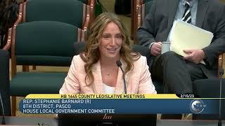 Rep. Stephanie Barnard testifies in support of increasing county meeting opportunities