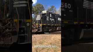 Riceboro Southern coming by after splitting off the CSX tracks up ahead. #shorts #foamer #railfans