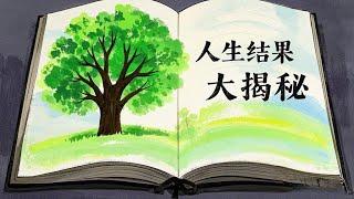 《改变命运的真相：从起心动念到习性转变 | 人生结果大揭秘》