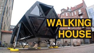 Can We Build and Live in Walking Houses? | Architecture @ZIYAD