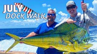 July DOCK WALK Fishing Report, Islamorada!