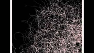 Hyphae simulation 2