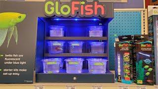 (Betta Fish)"New *RARE* Glo Betta Fish + Glo Products At Petsmart."