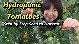 How to Grow Hydroponic Tiny Tim Tomatoes from Seed to Harvest: Kratky vs. DWC