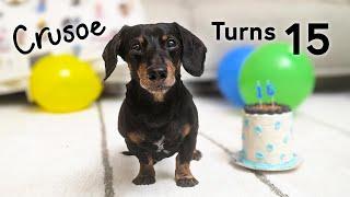 Crusoe's 15th Birthday Party!