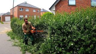 I Scheduled TWO CLIENTS for Hedge Trimming in ONE DAY