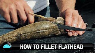 How To: Fillet Flathead | We Flick Fishing Videos