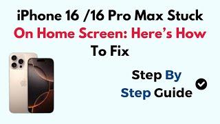 iPhone 16 /16 Pro Max Stuck On Home Screen: Here’s How To Fix