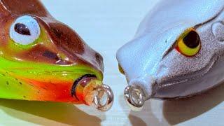 Frog Fishing For Bass! Everything You Need To Know!