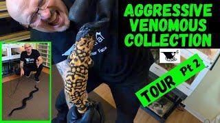 Inside the Most Dangerous Snake Collection in the World