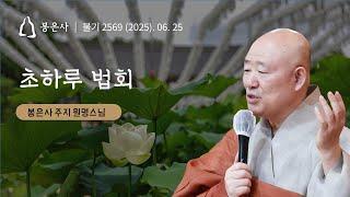 봉은사 사시불공 초하루법회 (2025.06.25.)