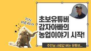 초보유튜버 감자아빠의 농업이야기 스타트!