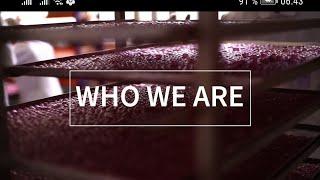 APL GO - Who We Are?