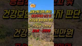 금융소득(이자, 배당소득) 종합소득세 신고 및 건강보험 피부양자 탈락 기준