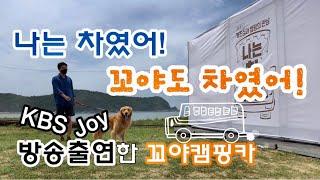 [나는차였어_꼬야캠핑카] KBS Joy 나는차였어 버스캠핑카 소개에 골든리트리버 꼬야가 주인공 되었어요! 유럽감성의 마스터캠핑카, 꼬야캠핑카만의 밴라이프가 공개됩니다~