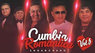 CUMBIA ROMANTICA #5 - Los Palmeras, Mario Luis, Sergio Torres, Coty Hernandez