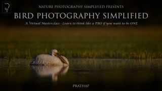 Bird Photography Simplified - A Virtual Masterclass