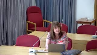 Worcestershire County Council - Adult Care and Well Being Overview and Scrutiny Panel - 31/07/2024