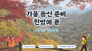 가을 등산 준비 한방에 끝 (가을 등산 잘하는 법)