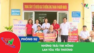 Những trái tim hồng lan tỏa yêu thương