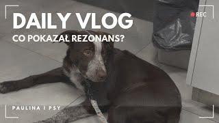 DAILY VLOG: ROBIMY RIZZOWI REZONANS - CO POKAZAŁ? | PAULINA I PSY