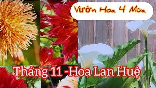 Vlog 884: Mùa Hoa Lan Huệ nhiều loại hoa đẹp mua tặng cho Gia đình