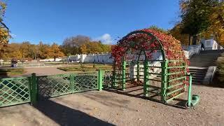  | Autumn Leaf | Kadriorg Park and Japanese Garden | Walking Tour Tallinn | Estonia